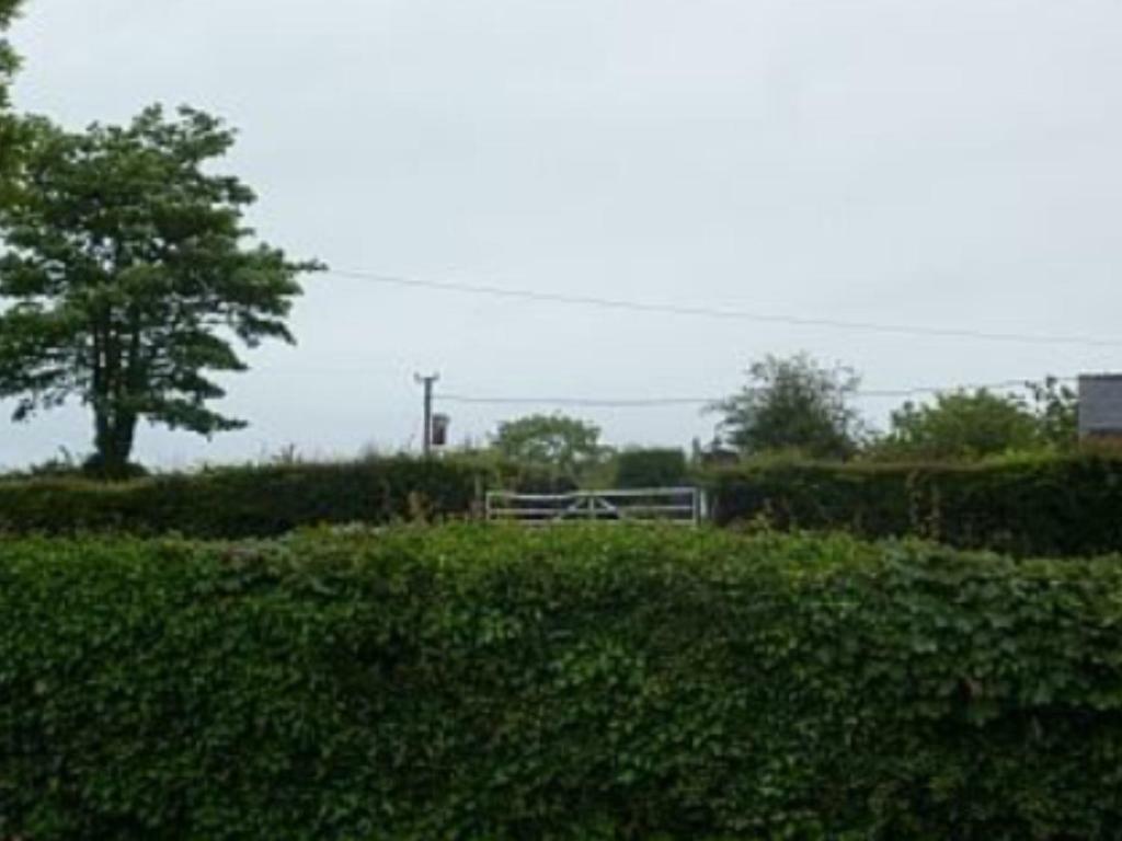 הוילה Llandyfrydog The Old Shop מראה חיצוני תמונה